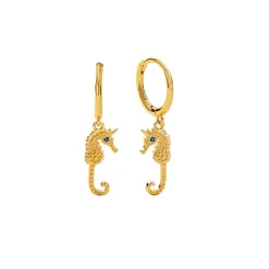 ByBirch - Hoops in vergoldete silber mit Seepferdchen