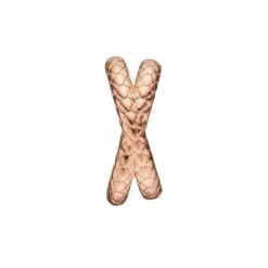 Christina Collect - Rosa Charme SNAKE IT