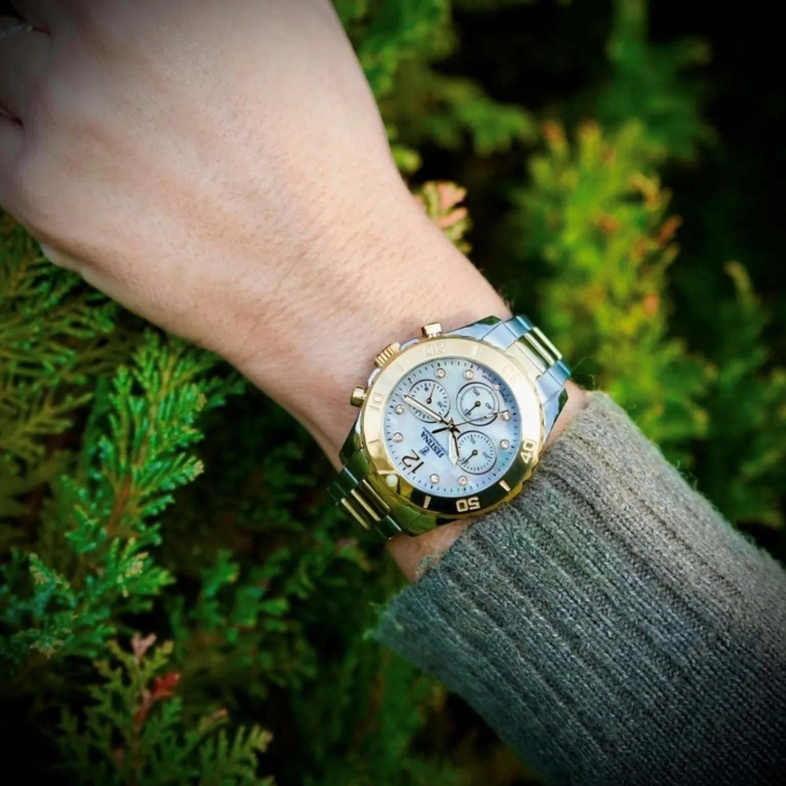 Festina - Chrono Damenuhr aus vergoldetem Stahl mit weißem Zifferblatt und Zirkonia