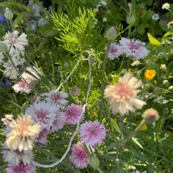 Jane Kønig - ROW Perlenkette in Silber