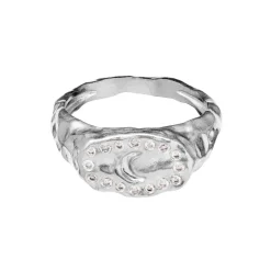 Maanesten - Demi einläuten silber