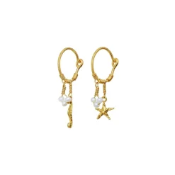 Maanesten - Momi-Ohrringe aus vergoldete silber mit Seepferdchen und Seesternen