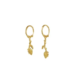 Maanesten - Rory Ohrringe in vergoldete silber