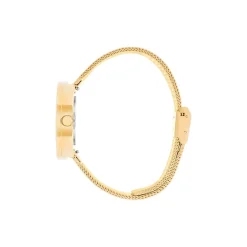 Picto - Helles lavendelfarbenes Zifferblatt und goldenes, Maschenarmband - 34 mm