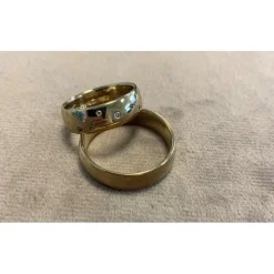 Ringe aus 14 Karat Weißgold - mit Fisch-Sternbild in Diamanten