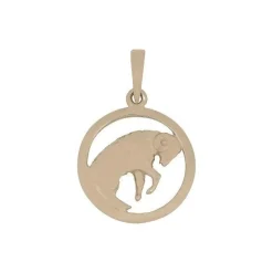 Sternzeichen in 8-14 Karat Gold - AQUARIUS