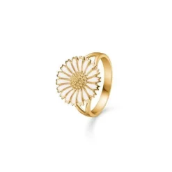 Studio Z - Margeritenring - 15 mm weiß/vergoldet