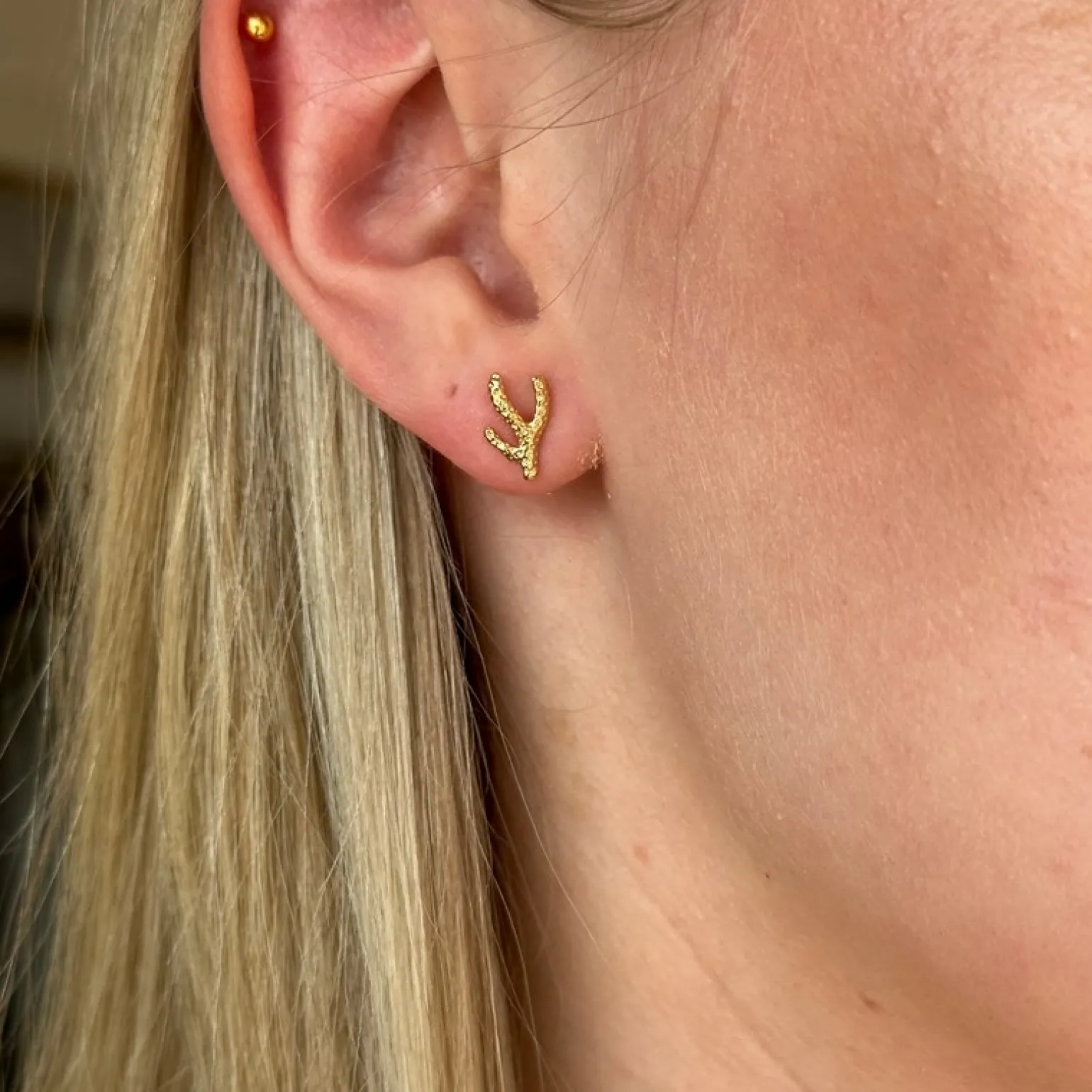 Studio Z - Reef Essence Ohrringe in vergoldete silber