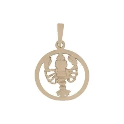 Tierkreiszeichen aus 8-14 Karat Gold - KREBSEN