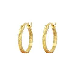 Vincent - Wahrsager- Hoops in vergoldete silber - medium